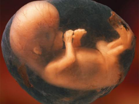 Ton der Gebärmutter während der Schwangerschaft im ersten Trimenon