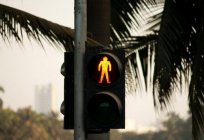 पैदल यात्री यातायात रोशनी: प्रकार और तस्वीरें