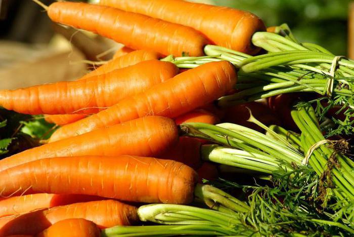 моркву це фрукт або овоч