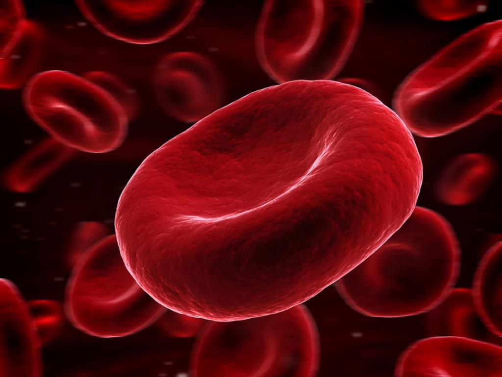 la madurez de los glóbulos rojos