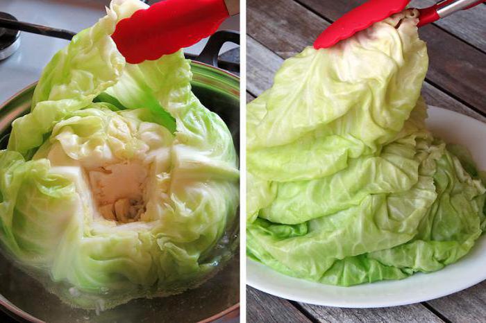 how to wrap cabbage rolls