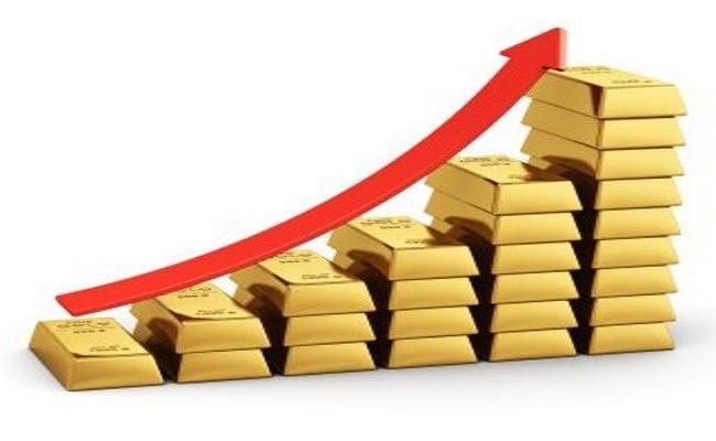 rezerwy złota i walut obcych