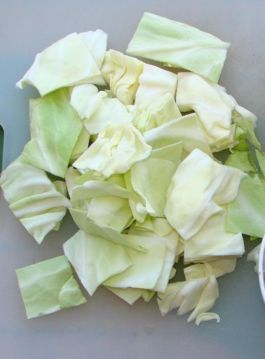 what to cook from fresh cabbage