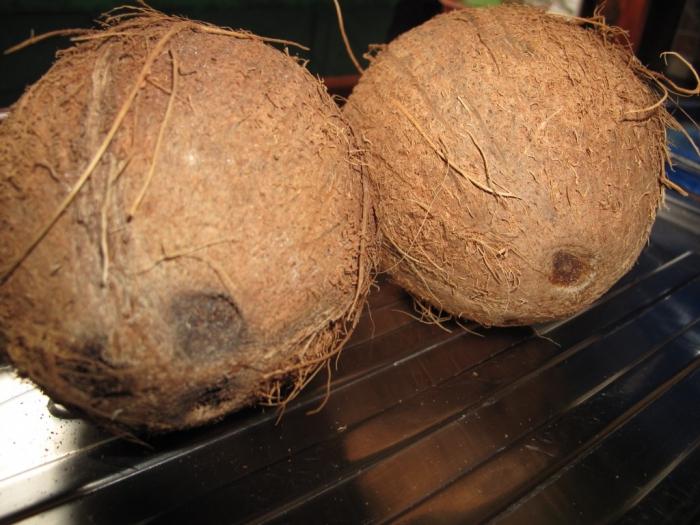 wie öffnet man eine Kokosnuss zu Hause