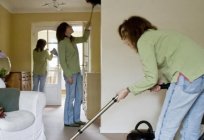 Що таке домашнє господарство? Функції домашнього господарства. Ведення домашнього господарства