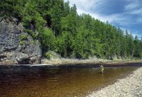 Der Fluss Seja Der Fluss seja in den Amur-Region: Fische und Fotos