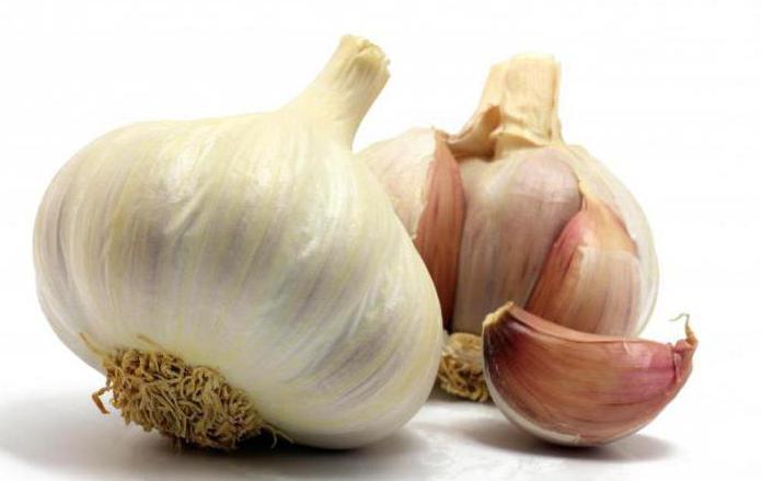 what to feed winter garlic