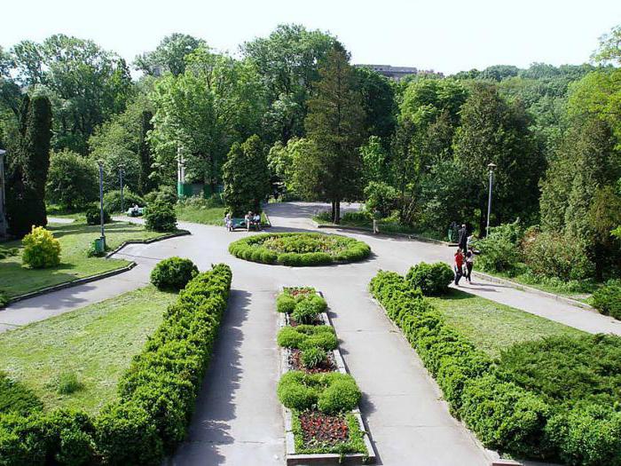 Botanical garden of SFU