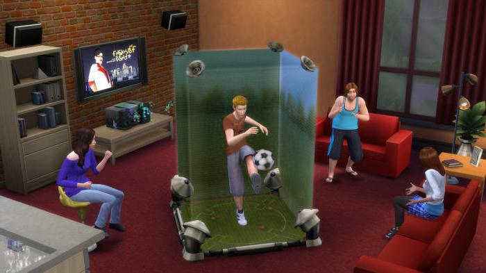 どのように多くの改インストールすることができ、Sims4