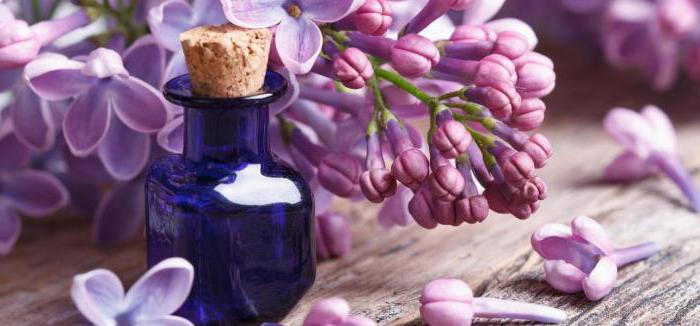 o óleo de lilás em casa