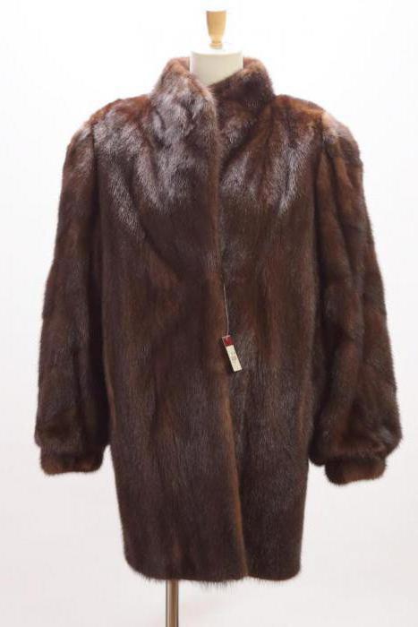 coat of wild mink photo