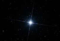 ألمع نجم في السماء. النجم سيريوس ألفا الكلب الرئيسية