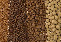 Extruded feed: composition, advantages and disadvantages