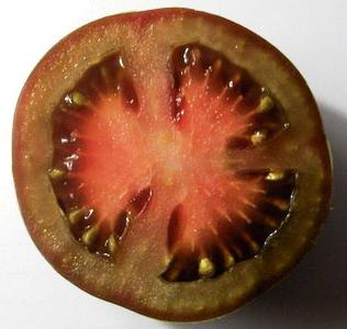 кумато las semillas de los tomates