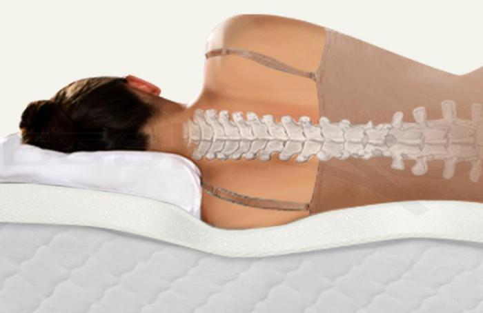 розміри матраців аскона для ліжка