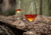 Wine from sea buckthorn at home - recipe