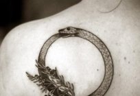 Ouroboros - what is it?