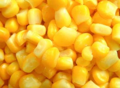 Sadzenie kukurydzy terminy