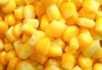 Die Anpflanzung von mais-Saatgut und Sämlingen
