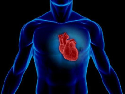 الكسر القذفي معدل ضربات القلب في الأطفال