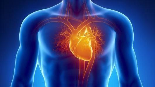 طرد جزء من القلب في القاعدة في علم الأمراض