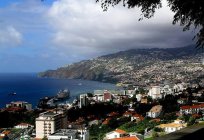 Madeira. Yorumlar bir kaçı bu konuda çiçekli bir ada