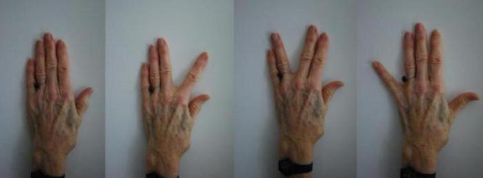 ejercicios para los dedos de las manos para los pinceles