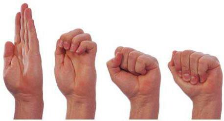 ejercicios para los dedos de las manos para los pinceles de kinesioterapia