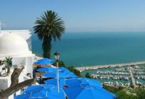 当时是最好的放松的时候在突尼斯突尼斯：天气月和水的温度