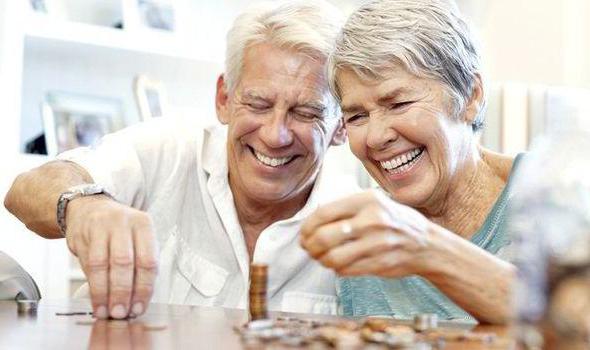 emeklilik fonu elektrik referansları