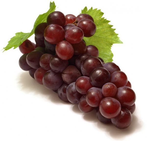 przetwarzanie winogron jesienią od chorób