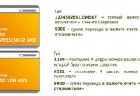 Kontör nasıl bir denge ile Sberbank kartı: adım adım talimatlar