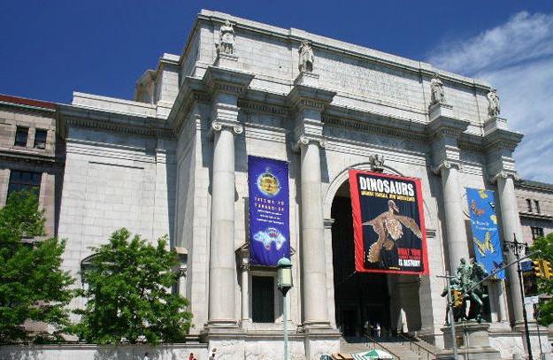 американський музей природної історії в нью йорку