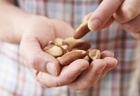 Calorie and useful properties of Brazil nut