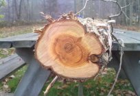 木材：木材の各種