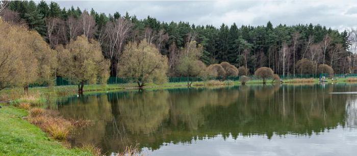 Meshchersky pond Bukowski Park