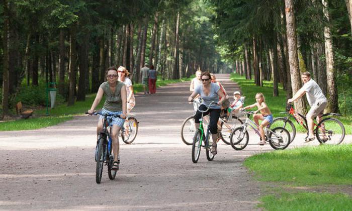 баковский Waldpark auf dem Fahrrad