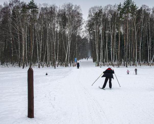 баковский el parque boscoso de esquí
