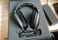 Headphones Sennheiser HD 600: a review. How to distinguish a fake? Sennheiser HD 600 or 650: what to choose?