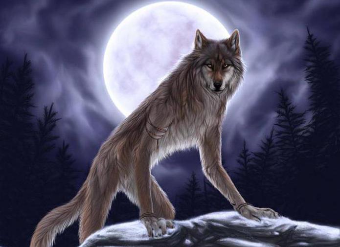Traum Werwolf Mensch