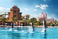 The Atlantis hotel, Dubai: description & reviews