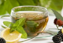 Als nützliches grüner Tee und warum sollte es trinken
