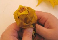 如何做一个秋天的美丽的花束用自己的双手的形式华丽的玫瑰？ 演练