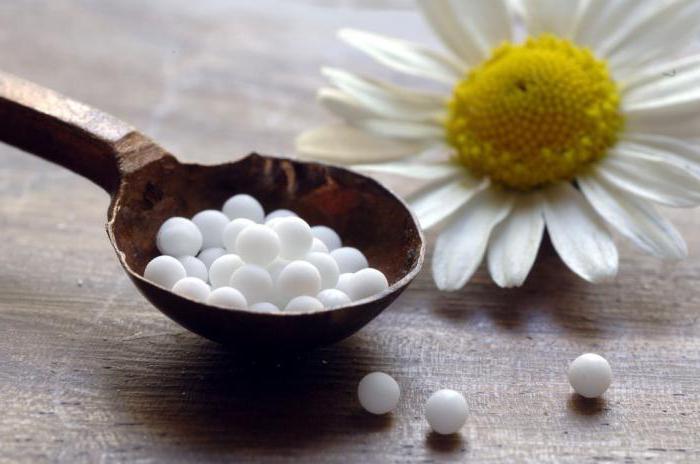 homeopatik merkezi moskova karayolu meraklıları
