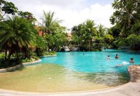 Los mejores hoteles de phuket (3 estrellas, 1 línea): descripción, el servicio, los clientes