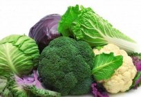 Cabbage vegetable: varieties, description, planting and care