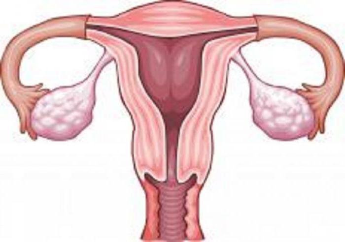 过度刺激卵巢综合征在试管婴儿