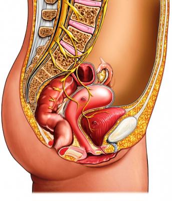 MRI of the small pelvis in women preparation
