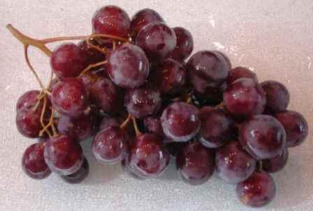 uma variedade de uva lydia
