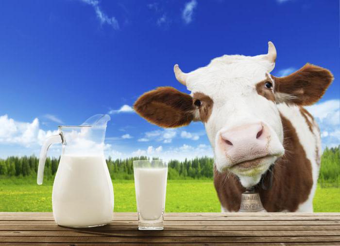 لماذا الحليب طعمه المر حين توتر
